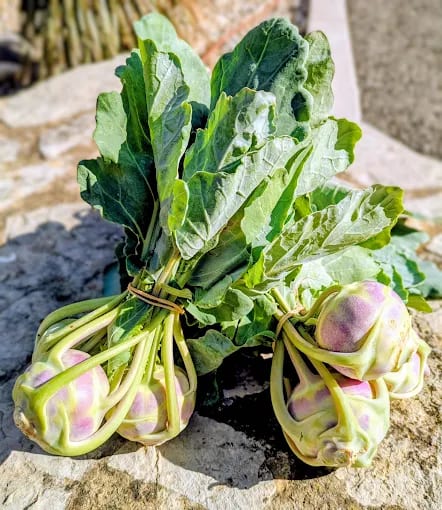 Légumes du maraîcher, choux-raves et fanes